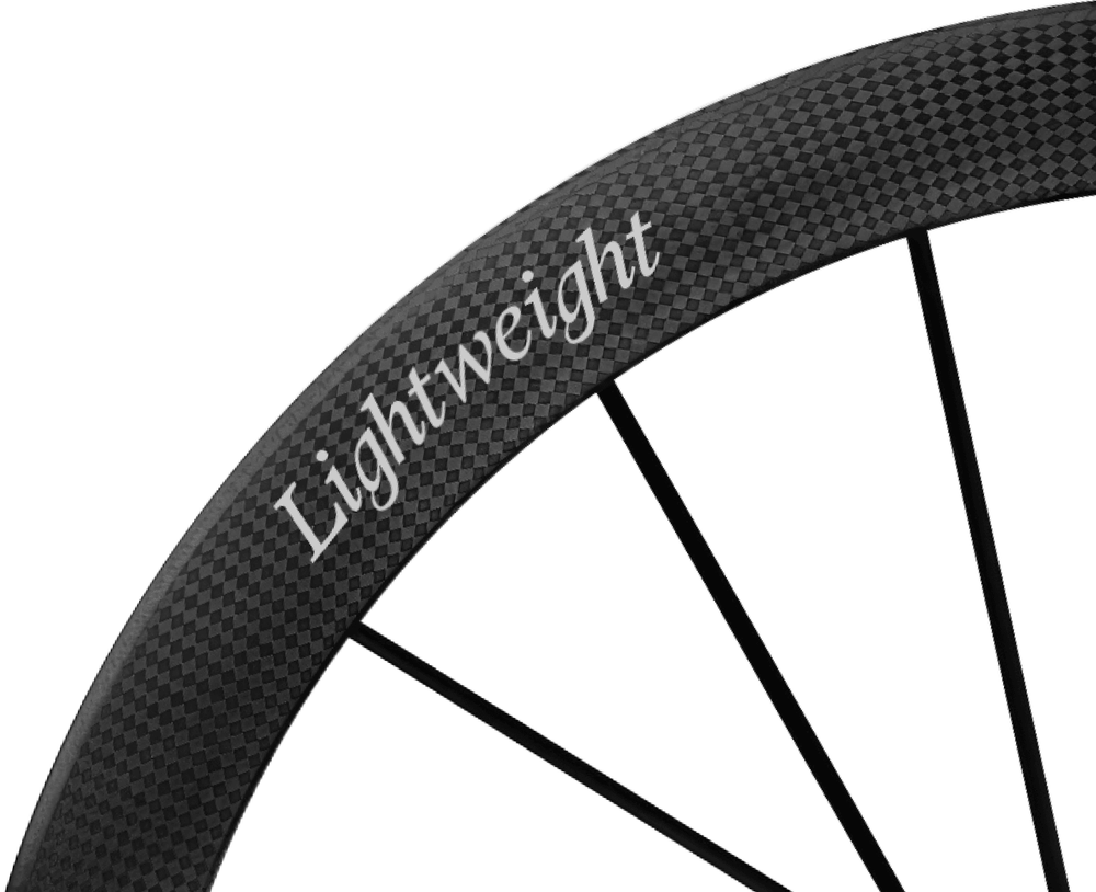 Lightweight Obermayer EVO Disc Brake Wheels - Silver Decal, rim and decal detail - Dragonspine Cycling