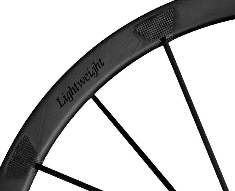 Lightweight Pfadfinder EVO Disc Brake Gravel Wheels - Schwarz ED, rim and decal detail - Dragonspine Cycling