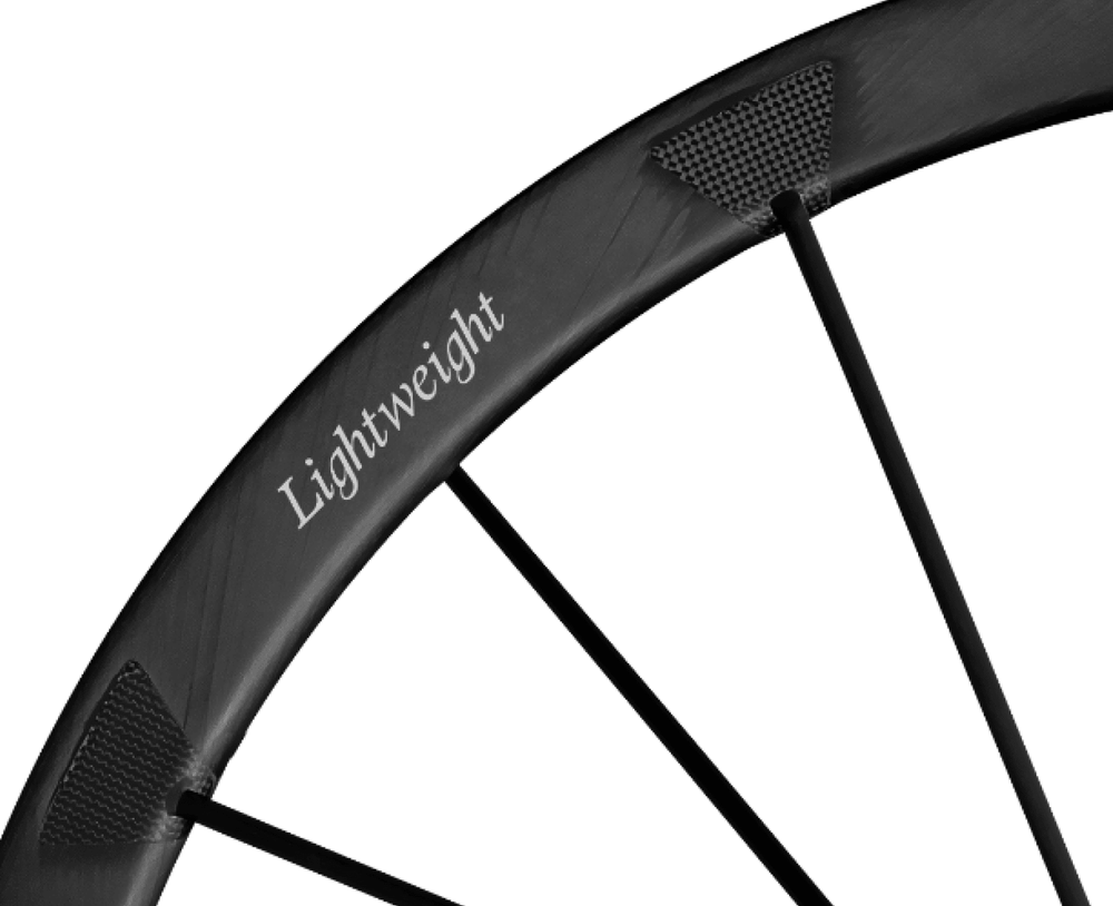 Lightweight Pfadfinder EVO Disc Brake Gravel Wheels - Silver Decal, rim and decal detail - Dragonspine Cycling