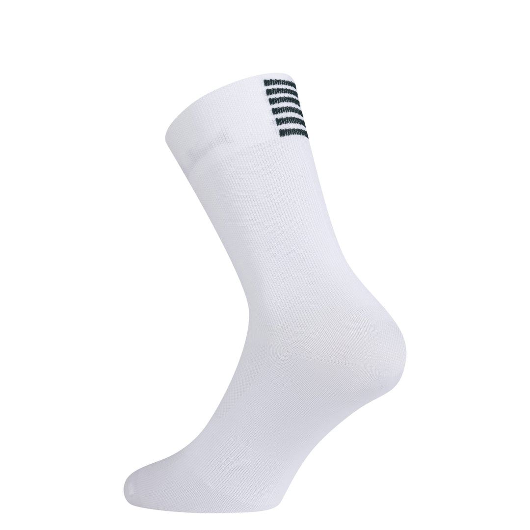 Rapha Pro Team Socks - Regular (White/Laurel) - Dragonspine Cycling