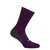 Rapha Pro Team Winter Socks (Plum/White) - Dragonspine Cycling