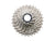 Shimano Cassette ( ) - Dragonspine Cycling