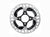 Shimano Rotor ( ) - Dragonspine Cycling