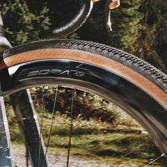 Campagnolo Bora X
