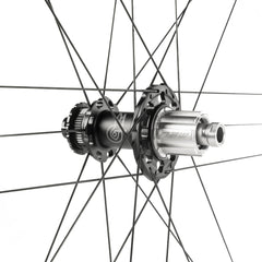 Campagnolo Wheels ( ) - Dragonspine Cycling