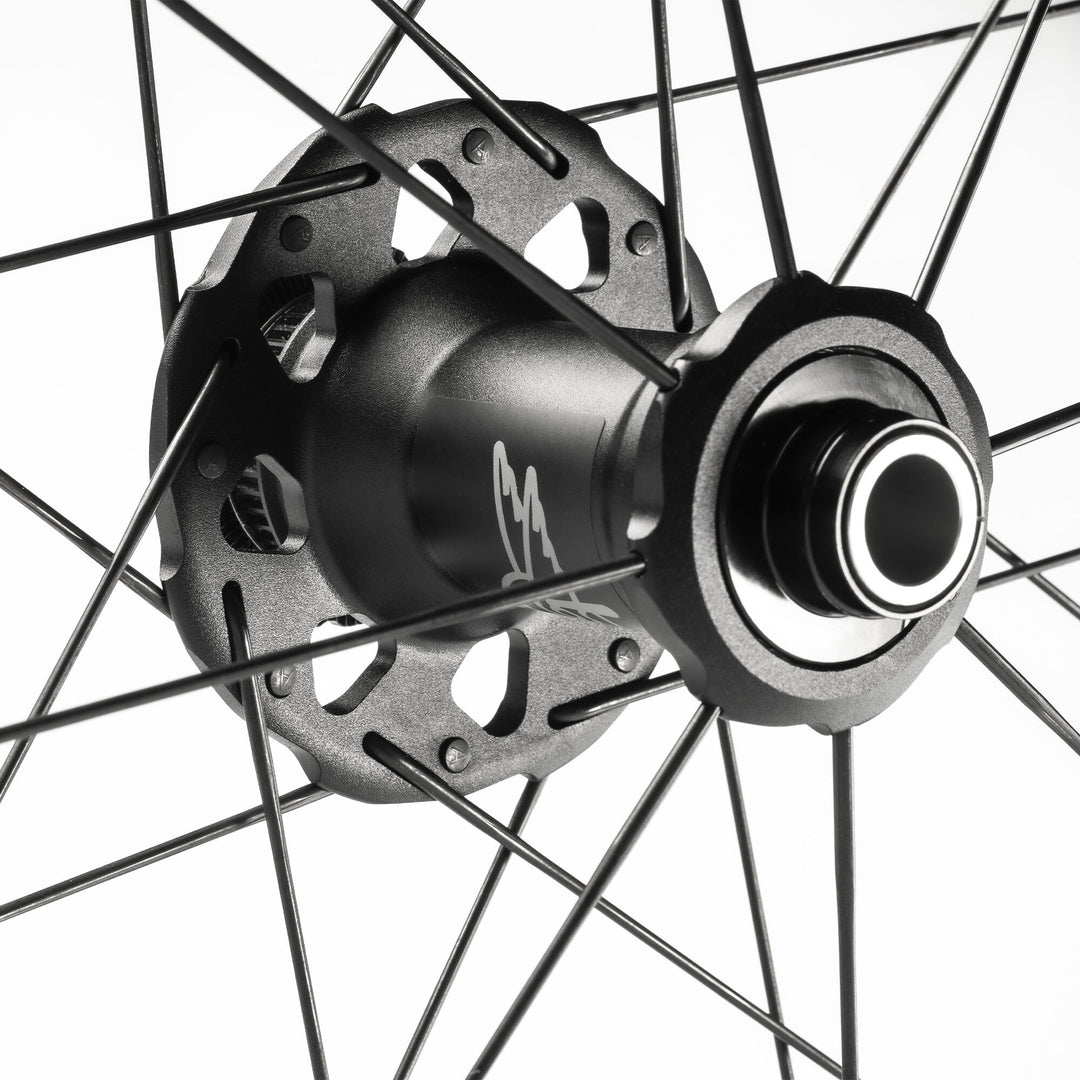 Campagnolo Wheels ( ) - Dragonspine Cycling
