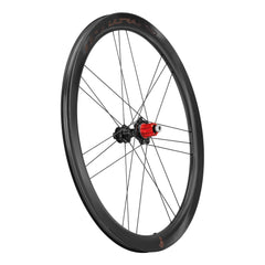 Campagnolo Bora Ultra WTO 45 C23 Disc Brake