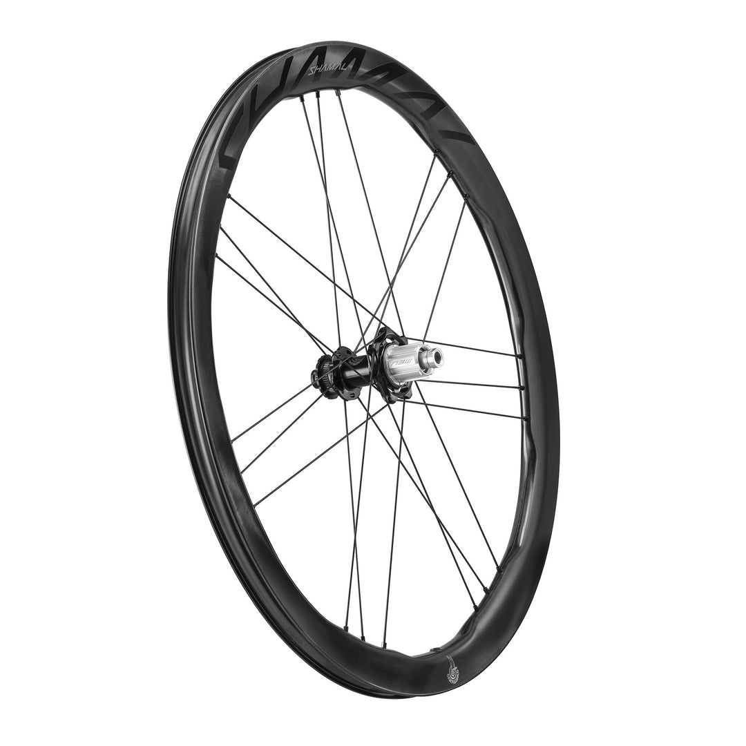 Campagnolo Wheels ( ) - Dragonspine Cycling