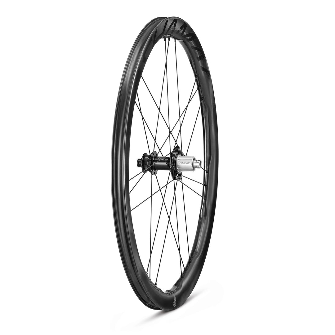 Campagnolo Wheels ( ) - Dragonspine Cycling