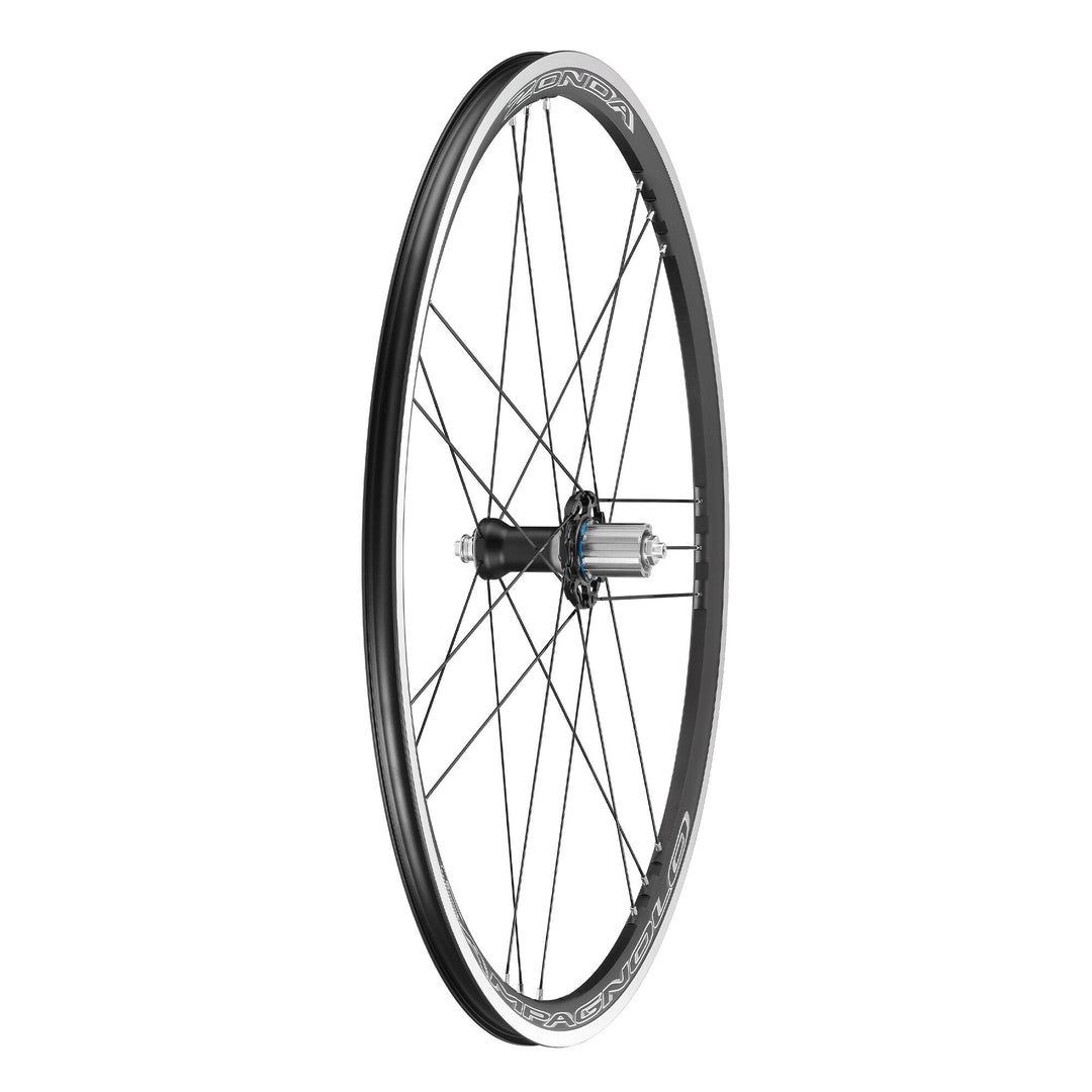 Campagnolo Wheels ( ) - Dragonspine Cycling