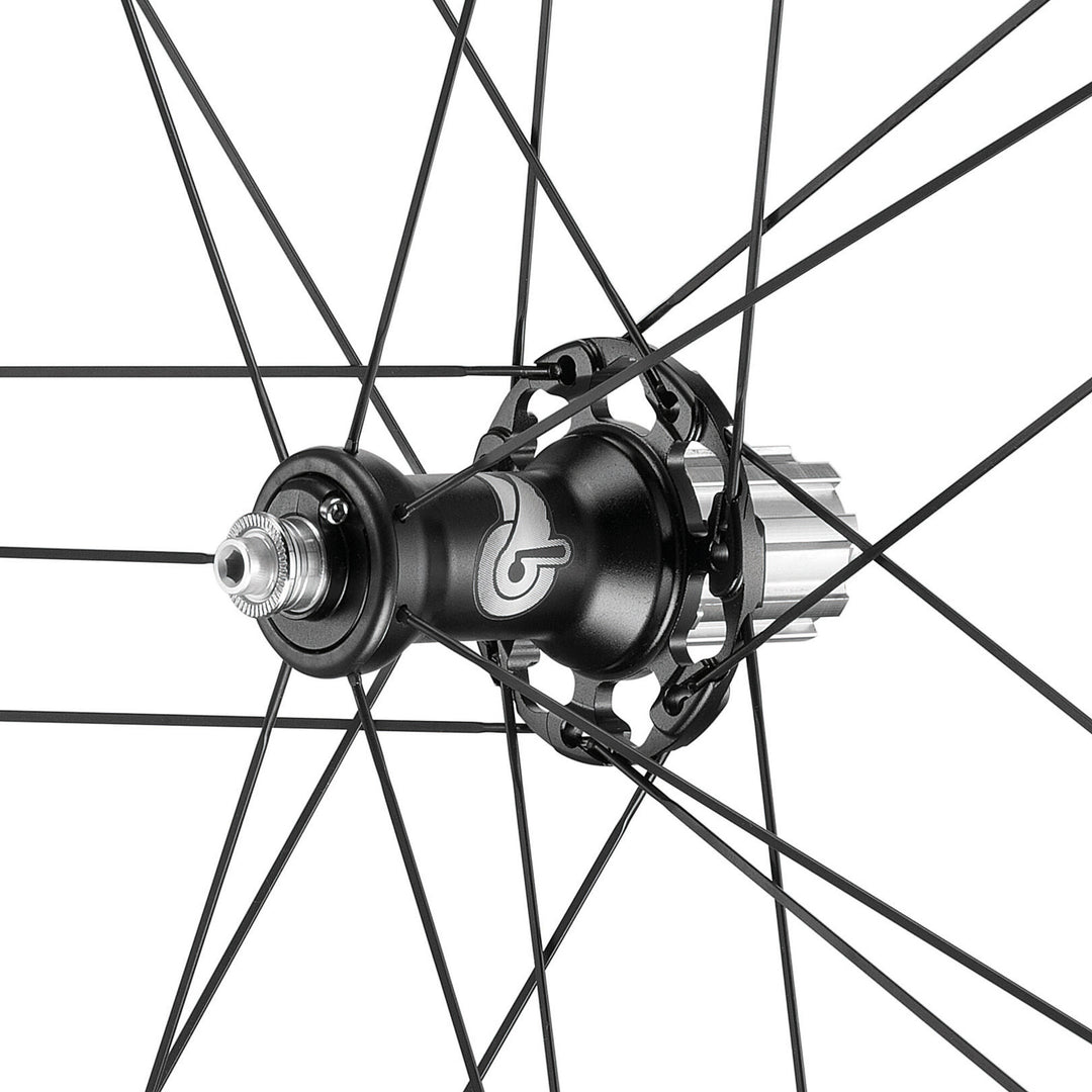 Campagnolo Wheels ( ) - Dragonspine Cycling