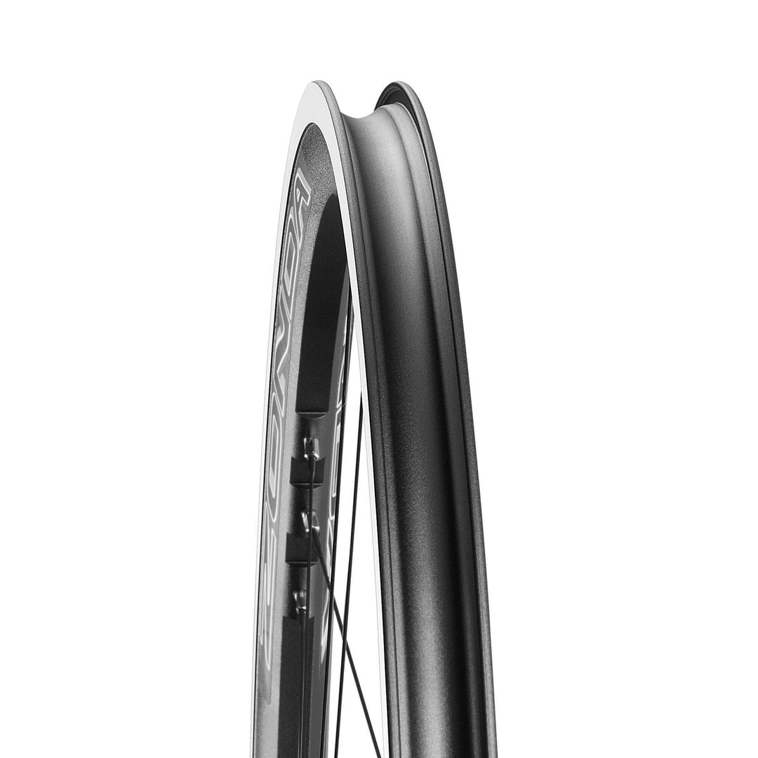 Campagnolo Wheels ( ) - Dragonspine Cycling