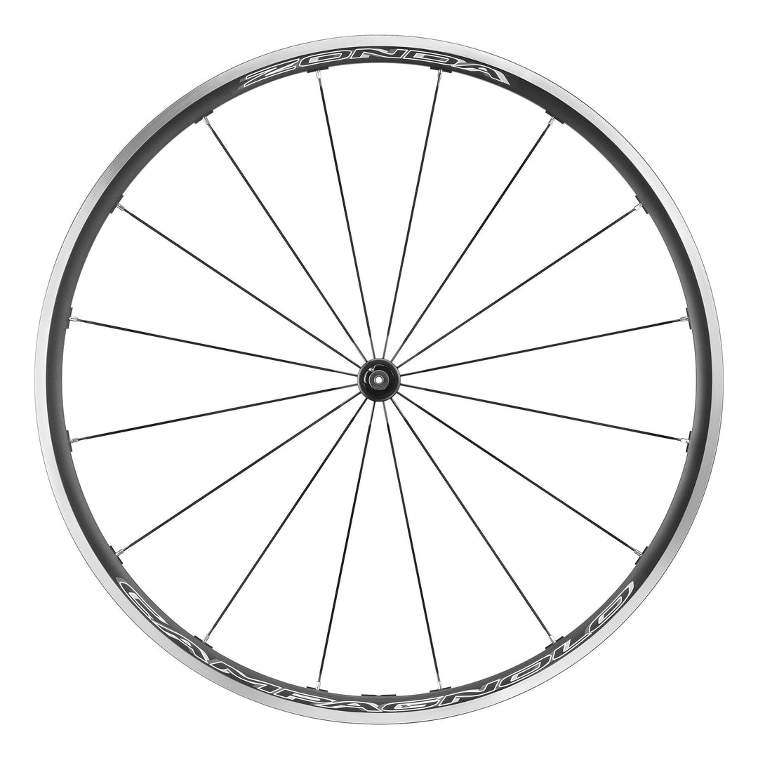 Campagnolo Wheels ( ) - Dragonspine Cycling