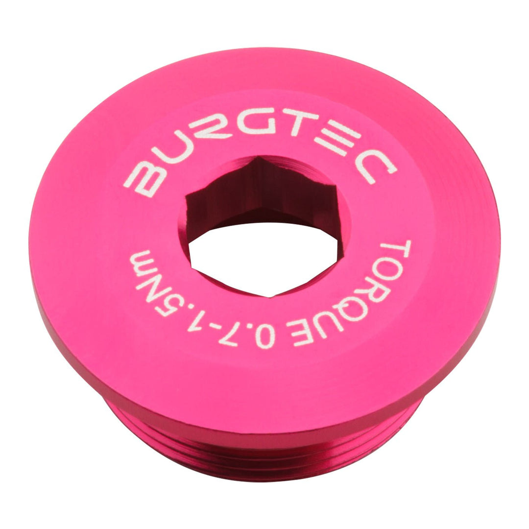 Burgtec Crank Bolts and Parts ( ) - Dragonspine Cycling
