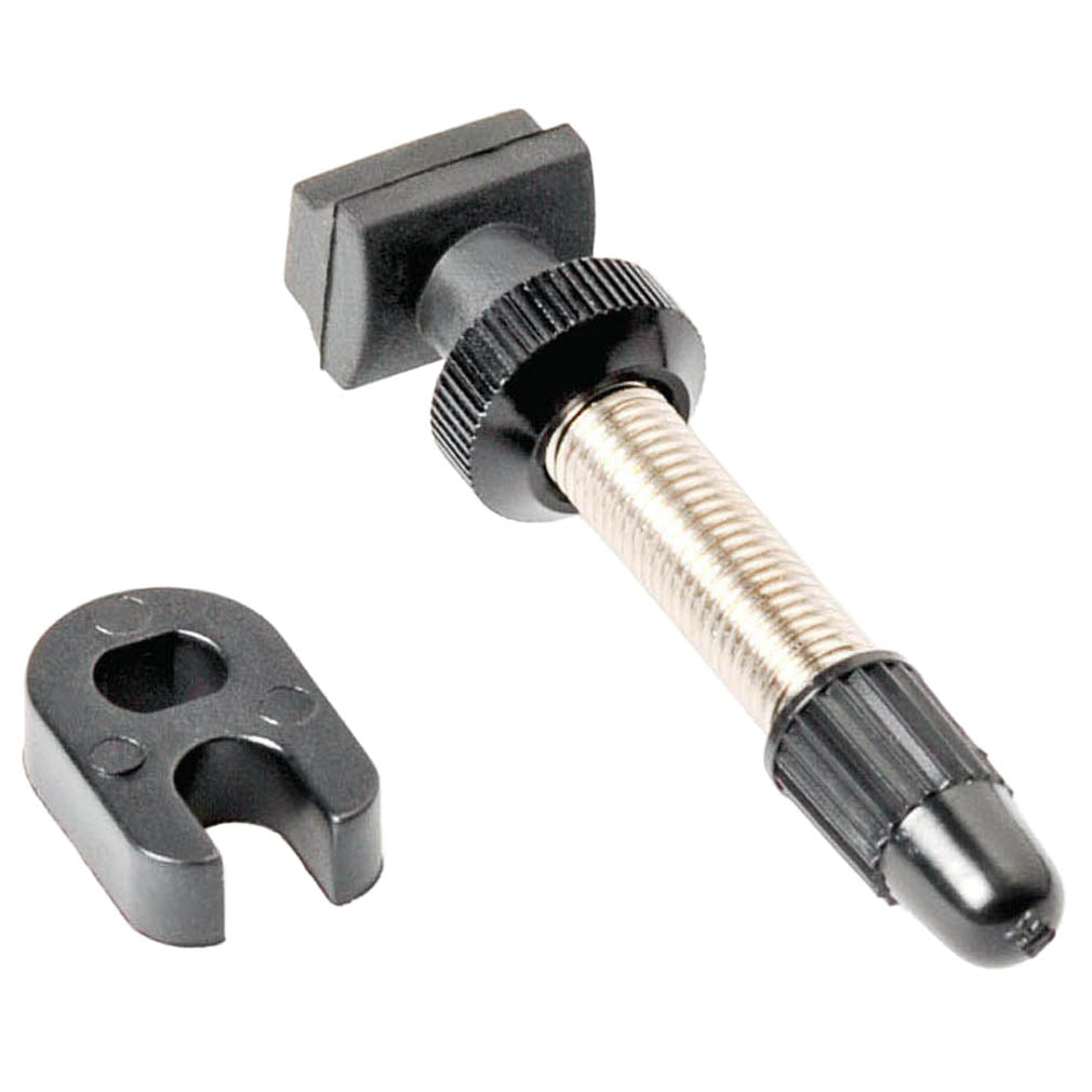Tubeless Valves DT Swiss DT Swiss Tubeless Valve - Road Narrow Base 53mm Single Dim Gray