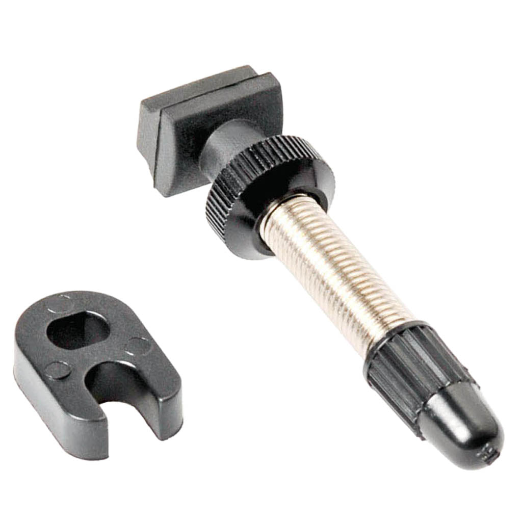 Tubeless Valves DT Swiss DT Swiss Tubeless Valve - Road Narrow Base 73mm Single Dim Gray