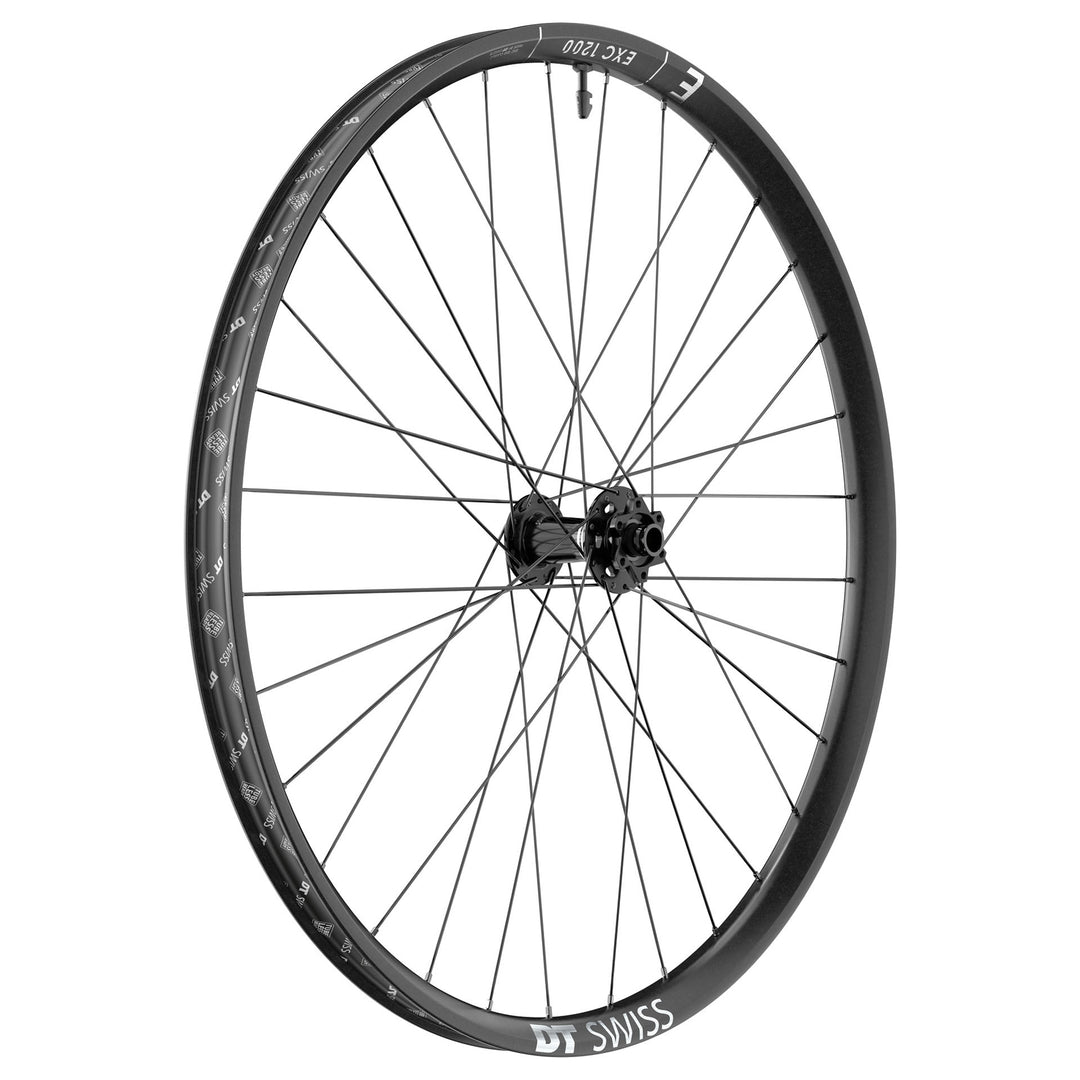 Front Wheel DT Swiss DT Swiss EXC 1200 Classic Front Wheel - 29" 15 x 110mm 6-Bolt Black Dark Slate Gray