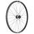 Front Wheel DT Swiss DT Swiss F 1900 Classic Front Wheel - 29" 20 x 110mm 6-Bolt Black Dark Slate Gray