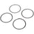 Boyd Stainless Steel 0.25mm Center Lock Shims 4/Count