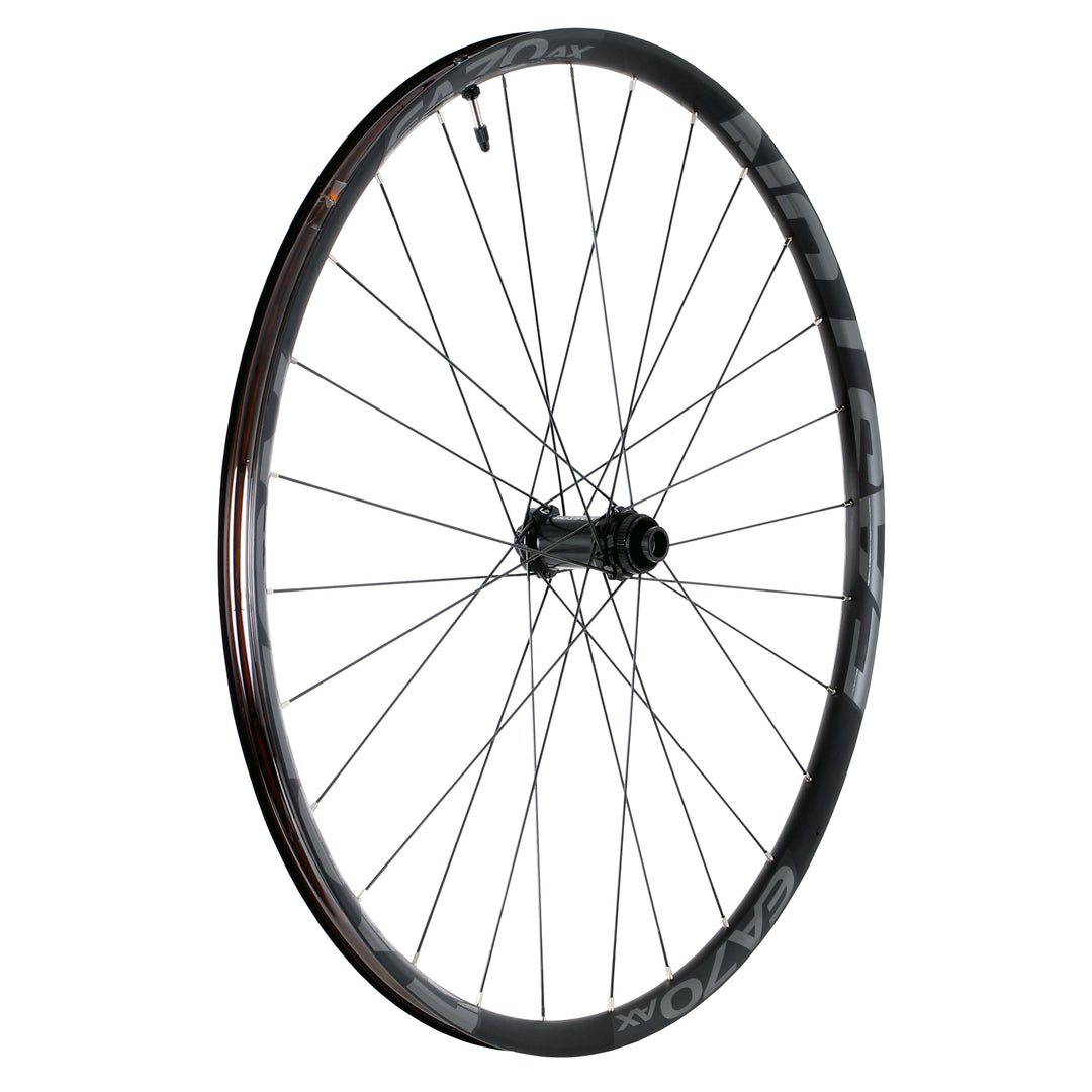 Easton EA70 AX Disc 650b F Wheel 9x100 QR+15x100 TA 