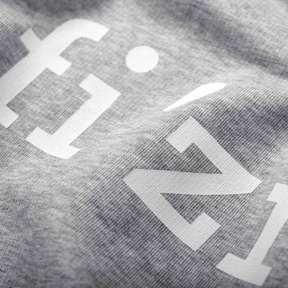 Fizik Logo T-Shirt - Light Grey - Dragonspine Cycling