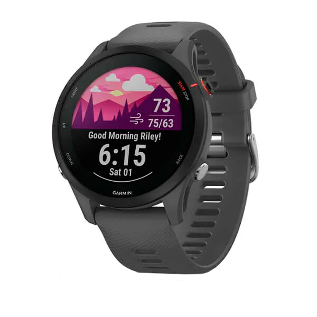 Watches Garmin Garmin Forerunner 255 Slate Gray Dark Slate Gray