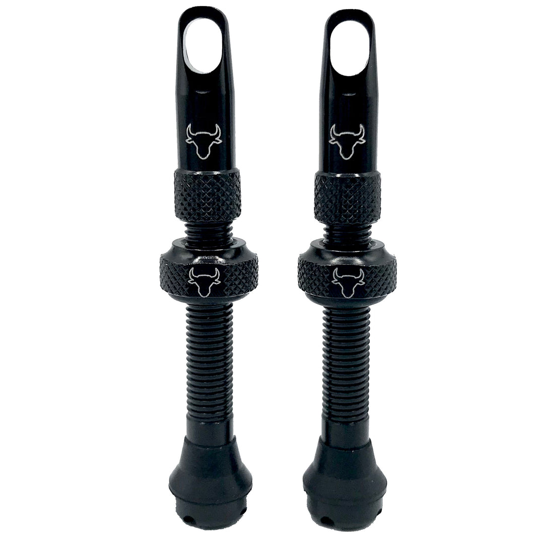 Tubeless Valves Hold Fast Cycling Hold Fast Cycling Tubeless Valve Stem 42mm (Pair) - Black Black