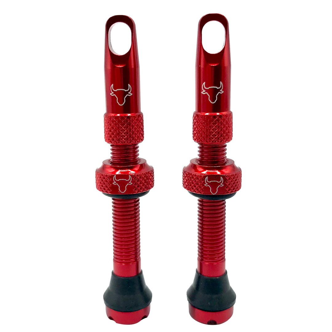 Tubeless Valves Hold Fast Cycling Hold Fast Cycling Tubeless Valve Stem 42mm (Pair) - Red Brown