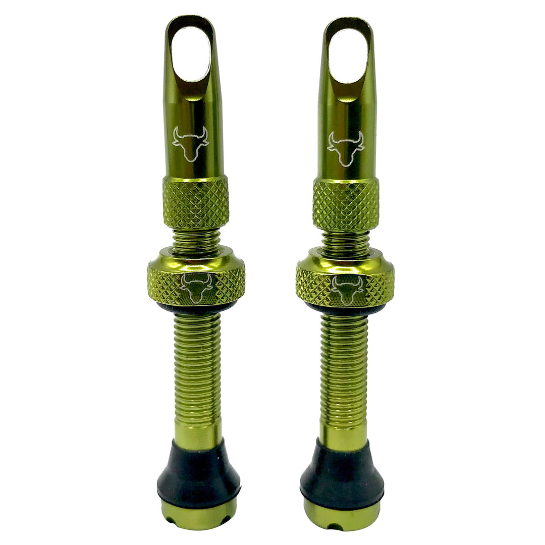Tubeless Valves Hold Fast Cycling Hold Fast Cycling Tubeless Valve Stem 42mm (Pair) - Green Dark Olive Green