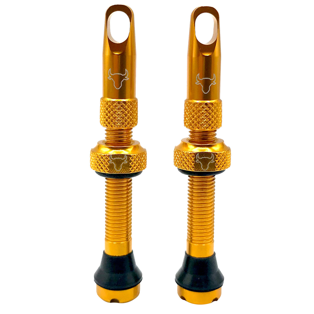 Tubeless Valves Hold Fast Cycling Hold Fast Cycling Tubeless Valve Stem 42mm (Pair) - Gold Dark Goldenrod