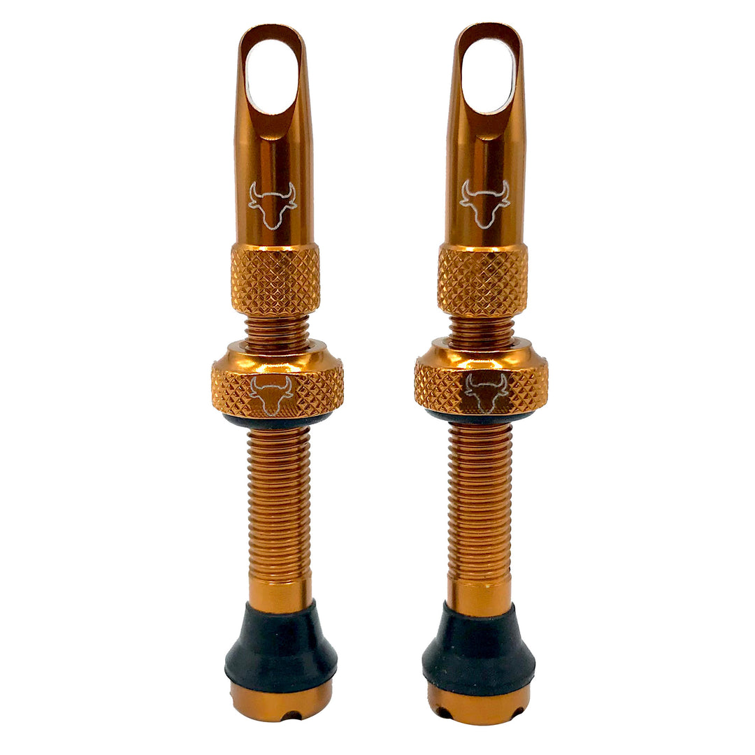 Tubeless Valves Hold Fast Cycling Hold Fast Cycling Tubeless Valve Stem 42mm (Pair) - Bronze Sienna