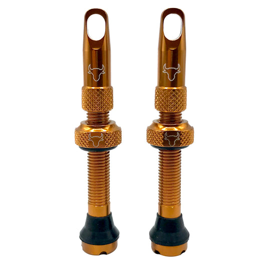 Hold Fast Cycling Tubeless Valve Stem 42mm (Pair) - Bronze