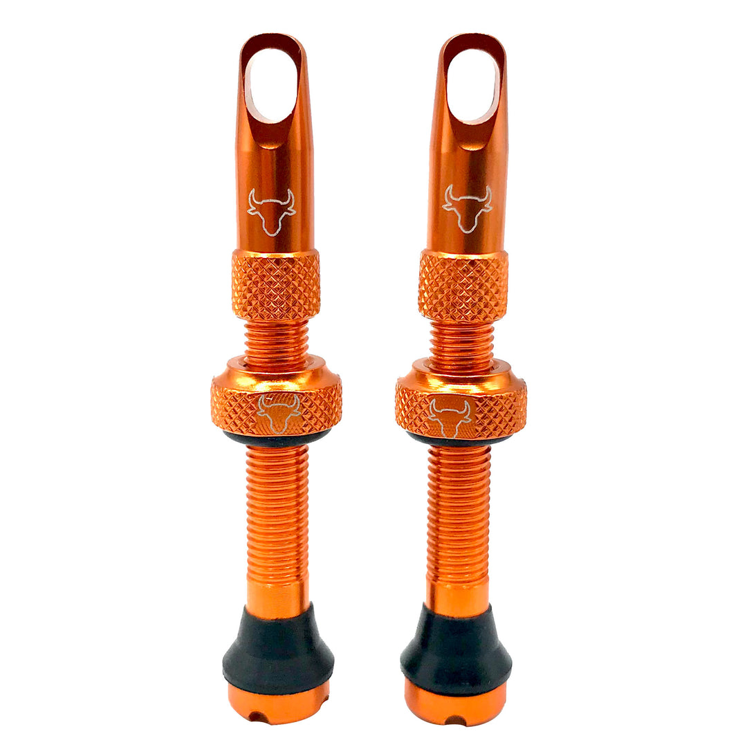 Tubeless Valves Hold Fast Cycling Hold Fast Cycling Tubeless Valve Stem 42mm (Pair) - Orange Chocolate
