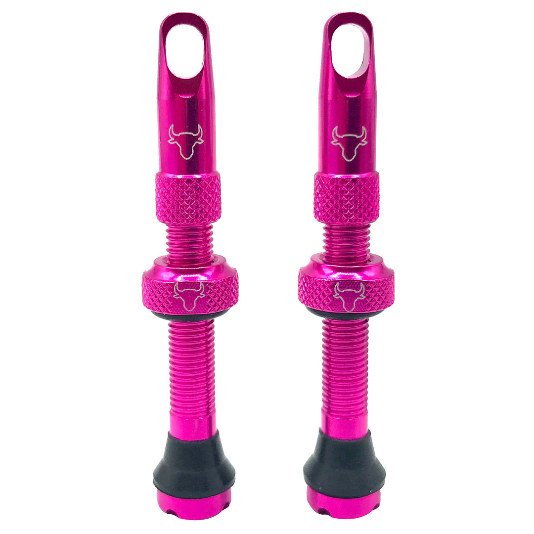 Tubeless Valves Hold Fast Cycling Hold Fast Cycling Tubeless Valve Stem 42mm (Pair) - Pink Medium Violet Red