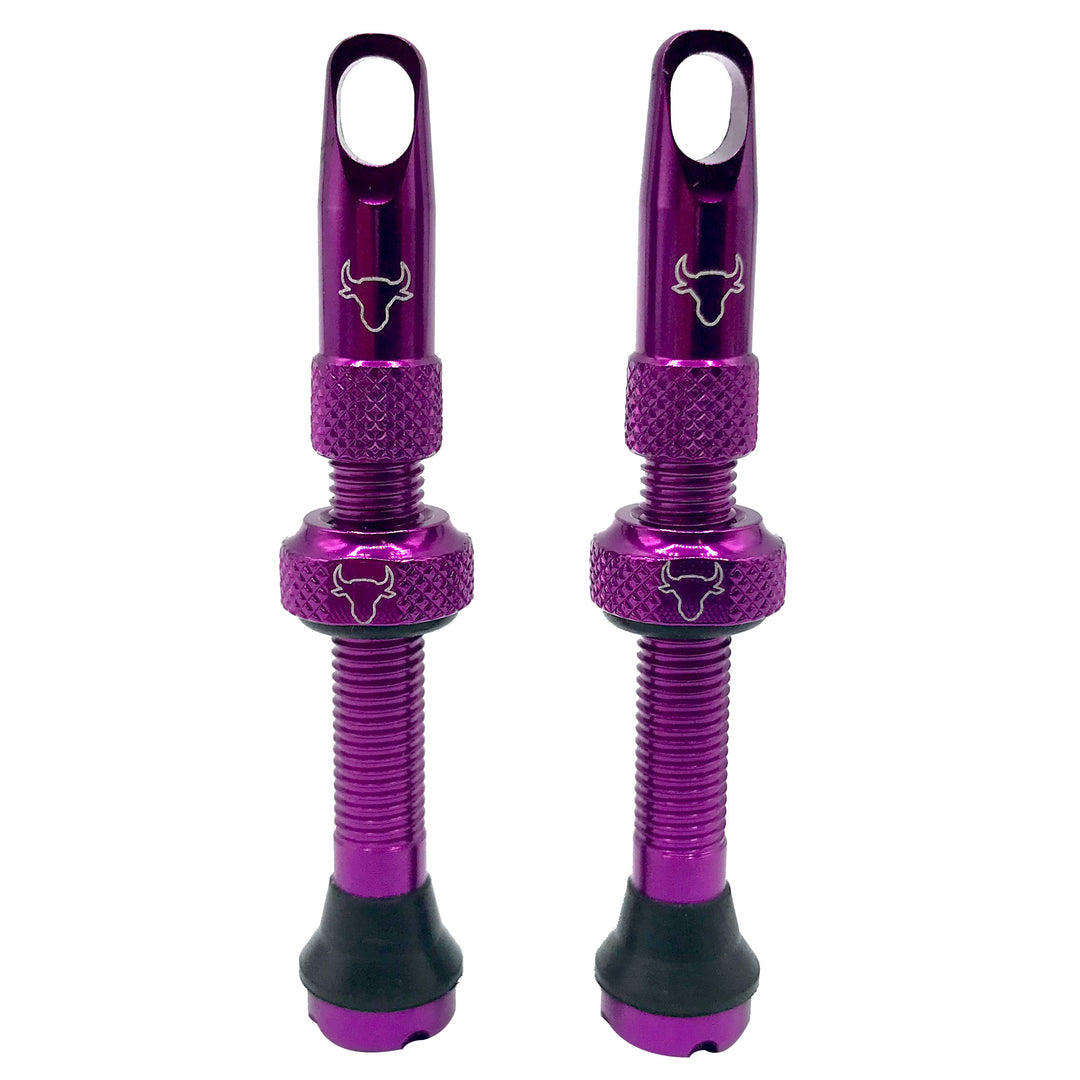 Tubeless Valves Hold Fast Cycling Hold Fast Cycling Tubeless Valve Stem 42mm (Pair) - Purple Dark Slate Blue