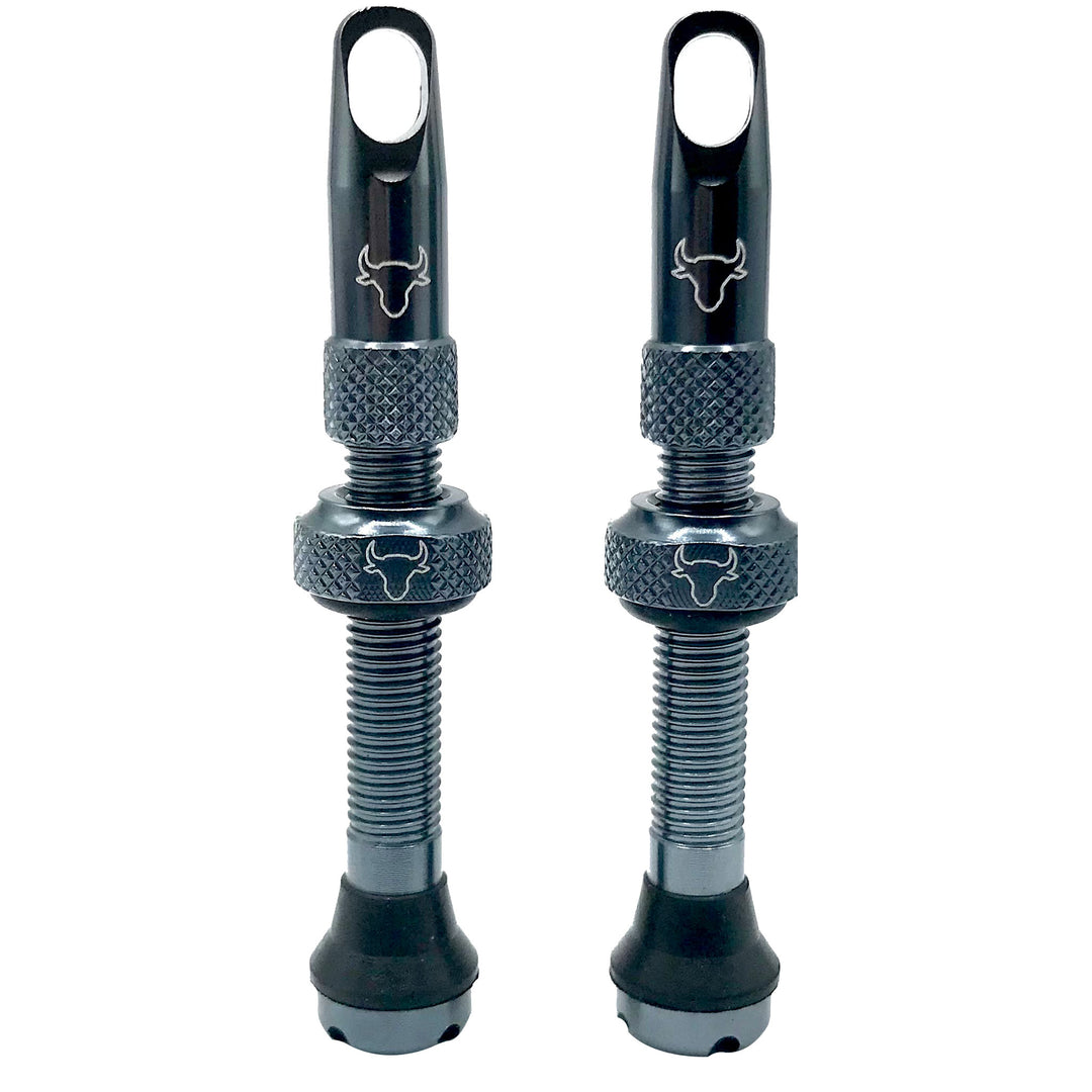 Tubeless Valves Hold Fast Cycling Hold Fast Cycling Tubeless Valve Stem 42mm (Pair) - Pewter Dark Slate Gray