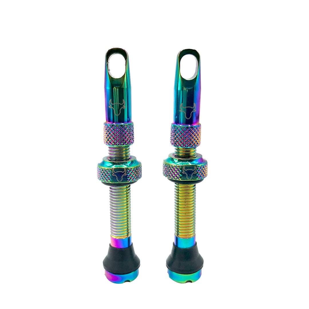 Tubeless Valves Hold Fast Cycling Hold Fast Cycling Tubeless Valve Stem 42mm (Pair) - Oil Slick Dark Slate Gray