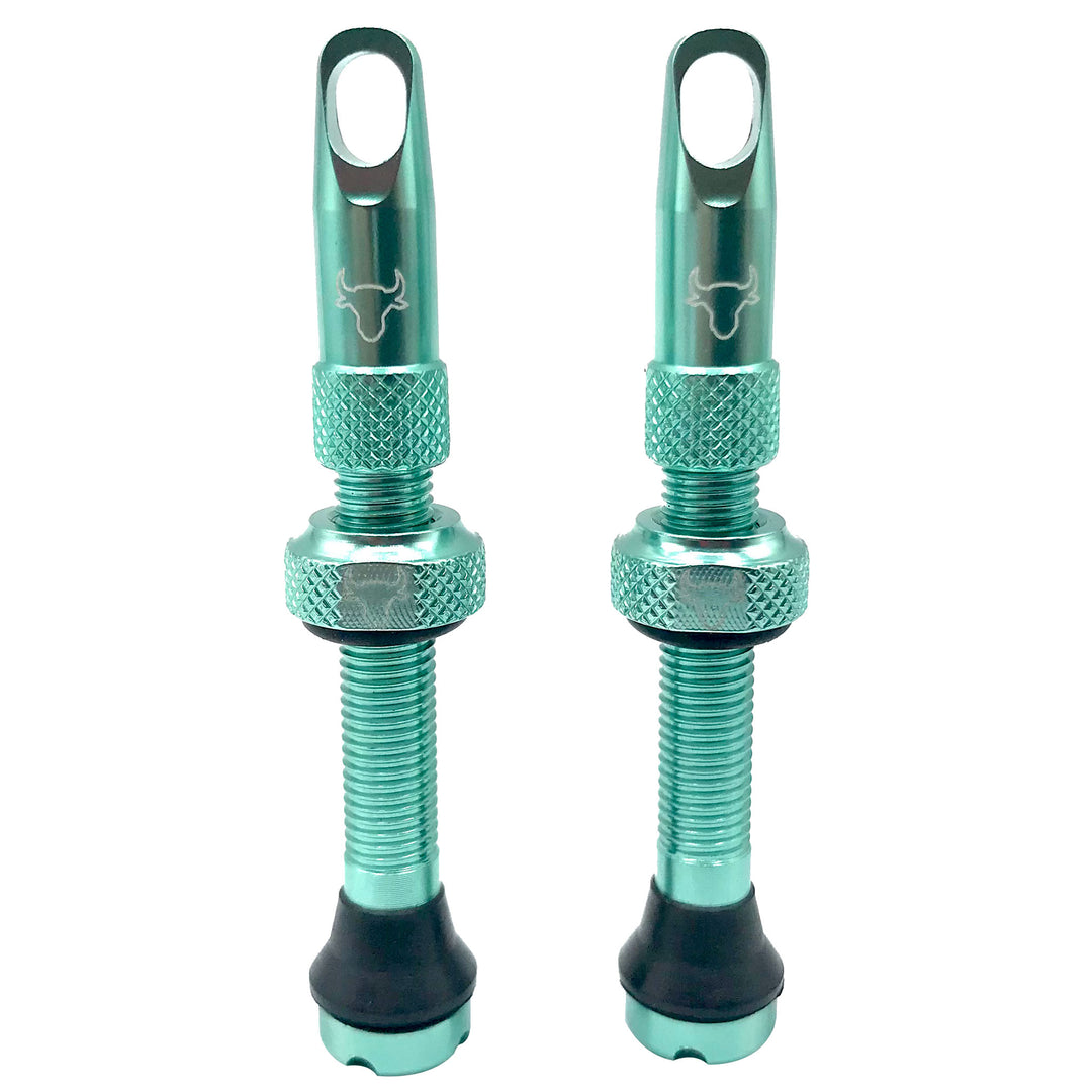 Tubeless Valves Hold Fast Cycling Hold Fast Cycling Tubeless Valve Stem 42mm (Pair) - Turquoise Cadet Blue