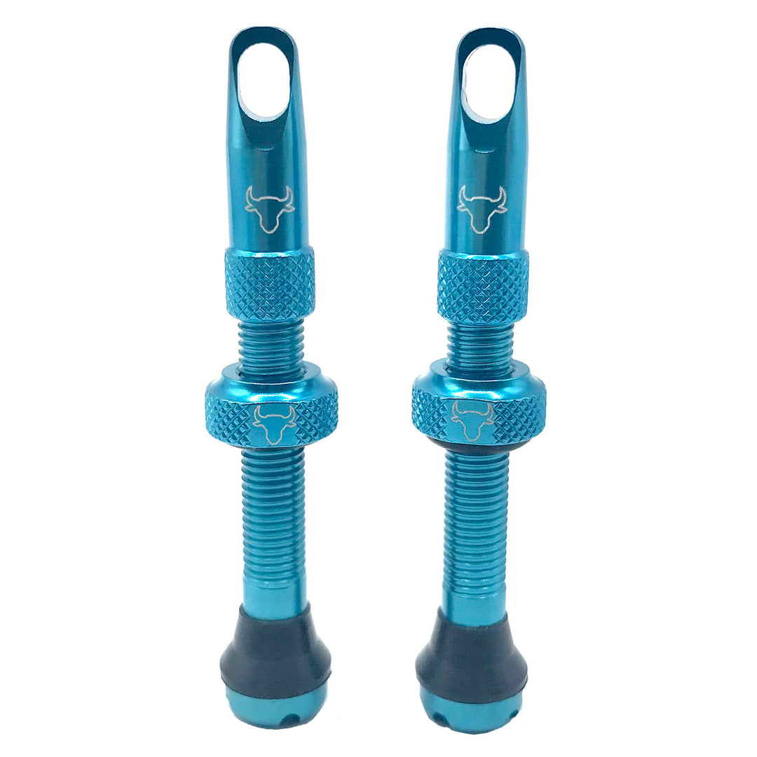 Tubeless Valves Hold Fast Cycling Hold Fast Cycling Tubeless Valve Stem 42mm (Pair) - Sasquatch (Yeti) Steel Blue