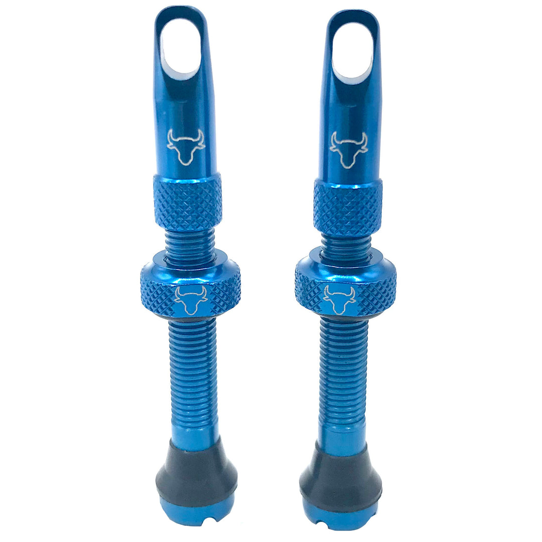 Tubeless Valves Hold Fast Cycling Hold Fast Cycling Tubeless Valve Stem 42mm (Pair) - Sky Blue Steel Blue
