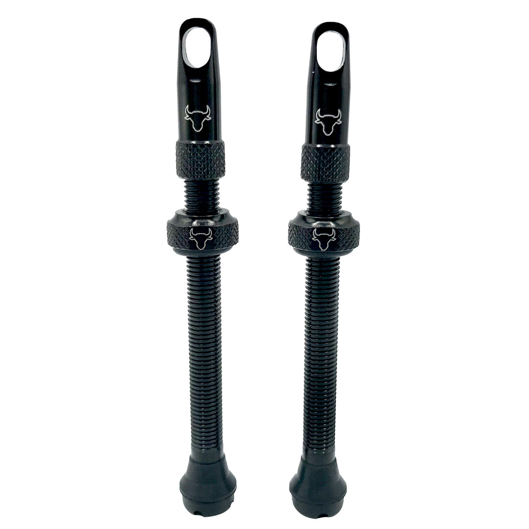 Tubeless Valves Hold Fast Cycling Hold Fast Cycling Tubeless Valve Stem 65mm (Pair) - Black Dark Slate Gray