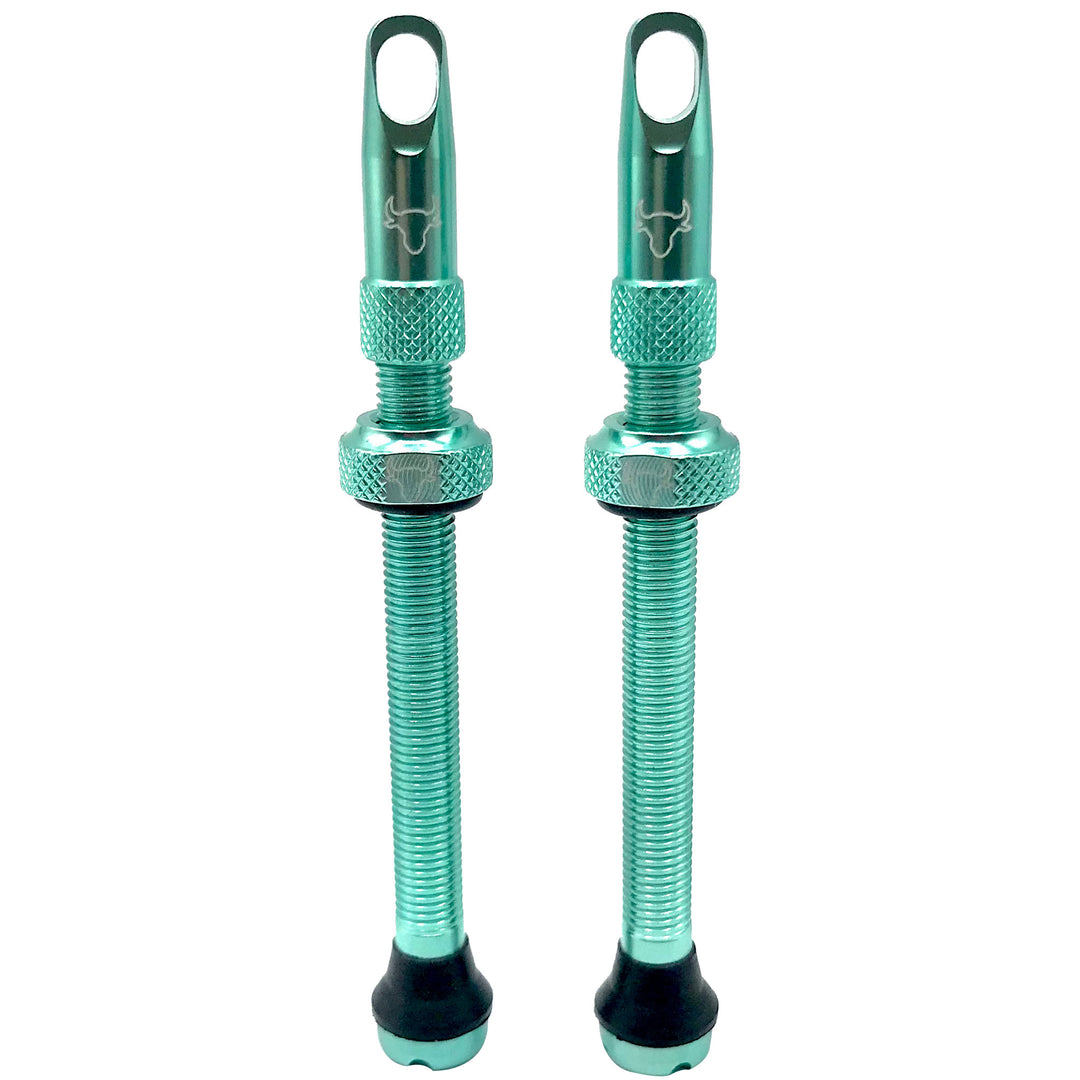 Tubeless Valves Hold Fast Cycling Hold Fast Cycling Tubeless Valve Stem 65mm (Pair) - Turquoise Cadet Blue