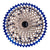 Leonardi Cassettes and Cogs ( ) - Dragonspine Cycling