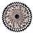 Leonardi Cassettes and Cogs ( ) - Dragonspine Cycling