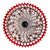 Leonardi Cassettes and Cogs ( ) - Dragonspine Cycling