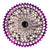 Leonardi Cassettes and Cogs ( ) - Dragonspine Cycling