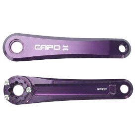 Leonardi Cranksets and Arms ( ) - Dragonspine Cycling