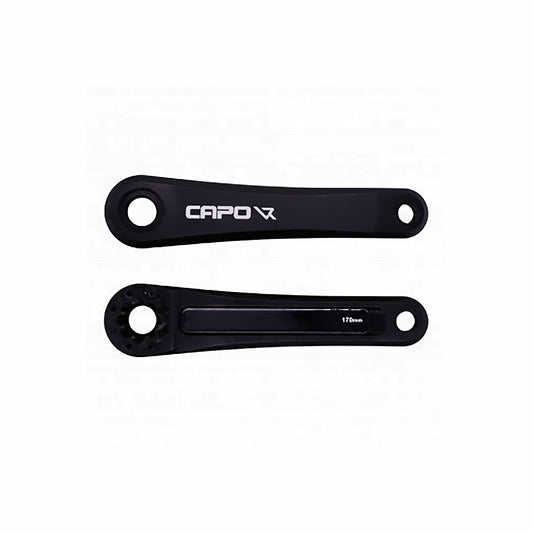Leonardi Cranksets and Arms ( ) - Dragonspine Cycling