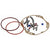 Ochain Spiders ( ) - Dragonspine Cycling