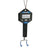 Measuring Tools Park Tool Park Tool DS-1 Digital Scale Dark Slate Gray
